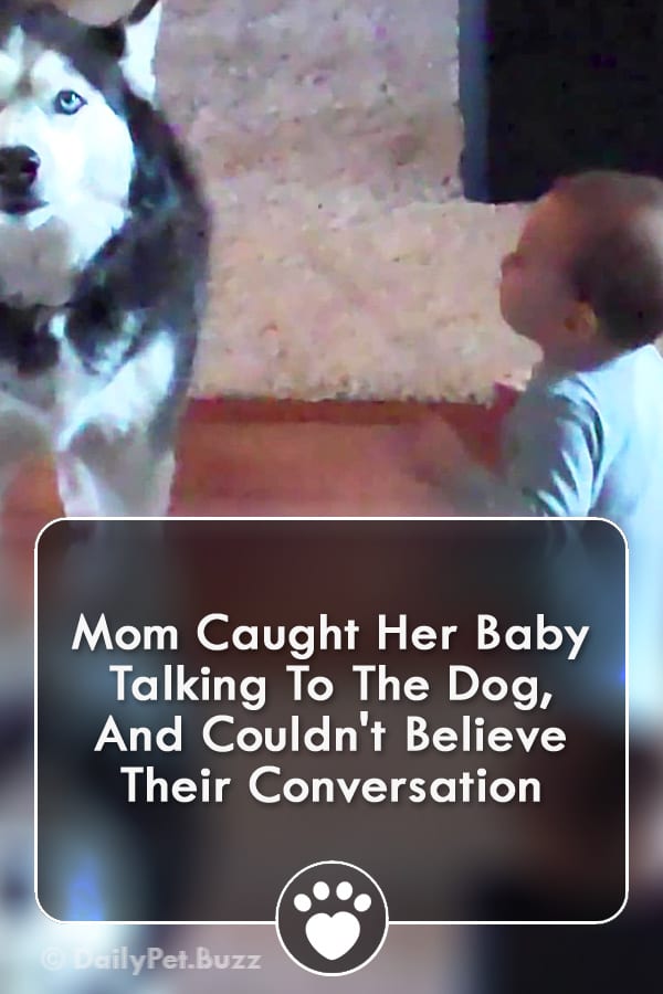 Mom Caught Her Baby Talking To The Dog, And Couldn\'t Believe Their Conversation