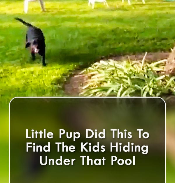 Pinterest Hidden Image