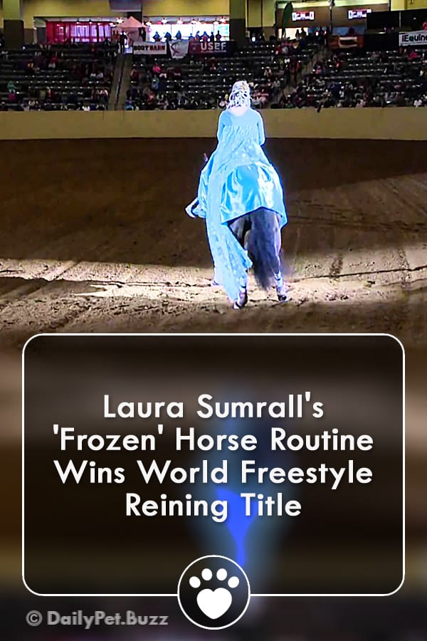 Laura Sumrall\'s \'Frozen\' Horse Routine Wins World Freestyle Reining Title