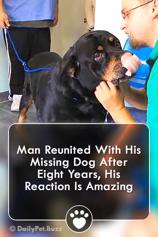 Man Reunited With His Missing Dog After Eight Years, His Reaction Is Amazing