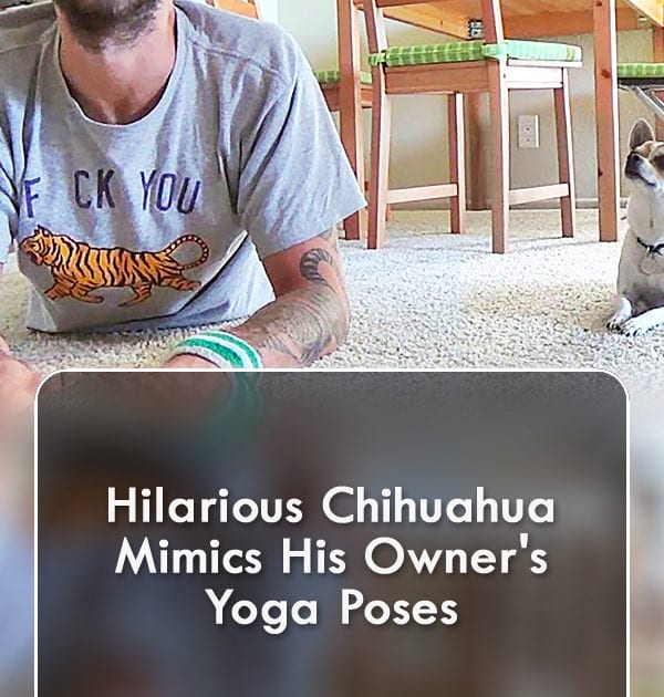 Pinterest Hidden Image