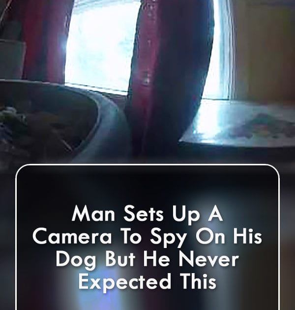 Pinterest Hidden Image