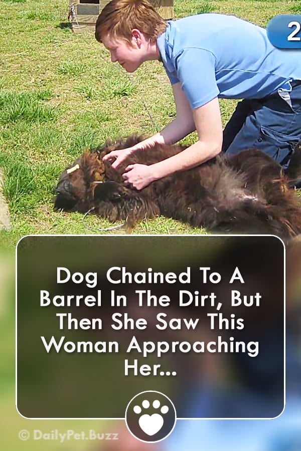 Dog Chained To A Barrel In The Dirt, But Then She Saw This Woman Approaching Her...