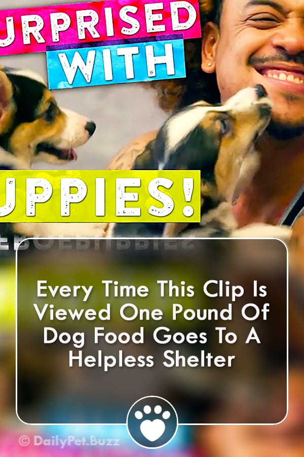 Every Time This Clip Is Viewed One Pound Of Dog Food Goes To A Helpless Shelter