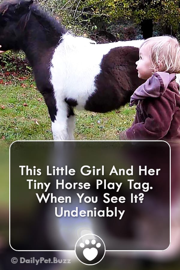 This Little Girl And Her Tiny Horse Play Tag. When You See It? Undeniably