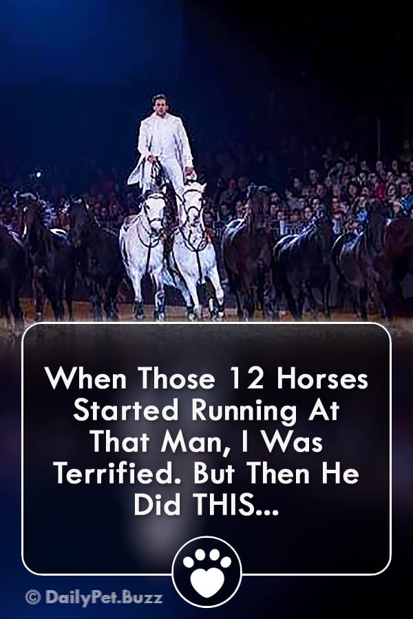 When Those 12 Horses Started Running At That Man, I Was Terrified. But Then He Did THIS...