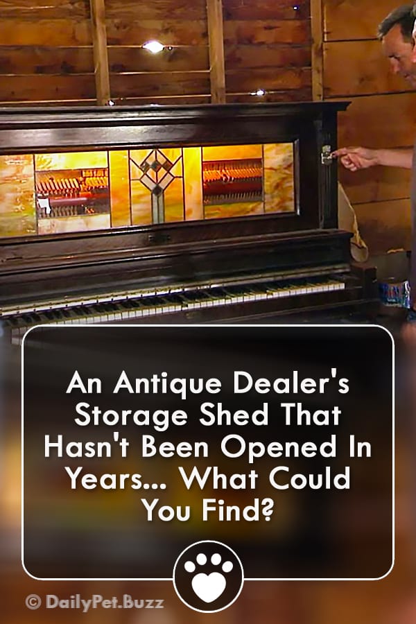 An Antique Dealer\'s Storage Shed That Hasn\'t Been Opened In Years... What Could You Find?