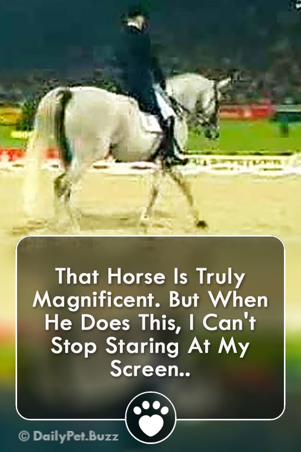That Horse Is Truly Magnificent. But When He Does This, I Can\'t Stop Staring At My Screen..