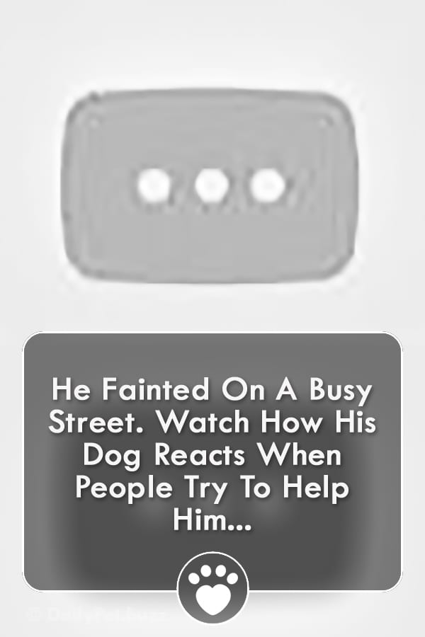 He Fainted On A Busy Street. Watch How His Dog Reacts When People Try To Help Him...
