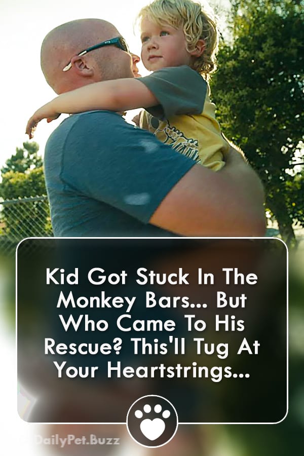 Kid Got Stuck In The Monkey Bars... But Who Came To His Rescue? This\'ll Tug At Your Heartstrings...