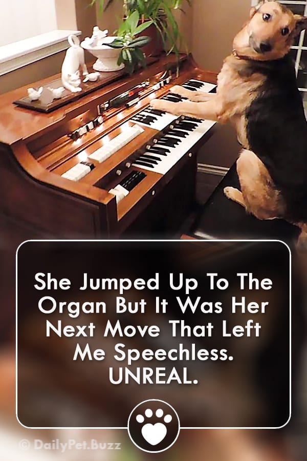 She Jumped Up To The Organ But It Was Her Next Move That Left Me Speechless. UNREAL.