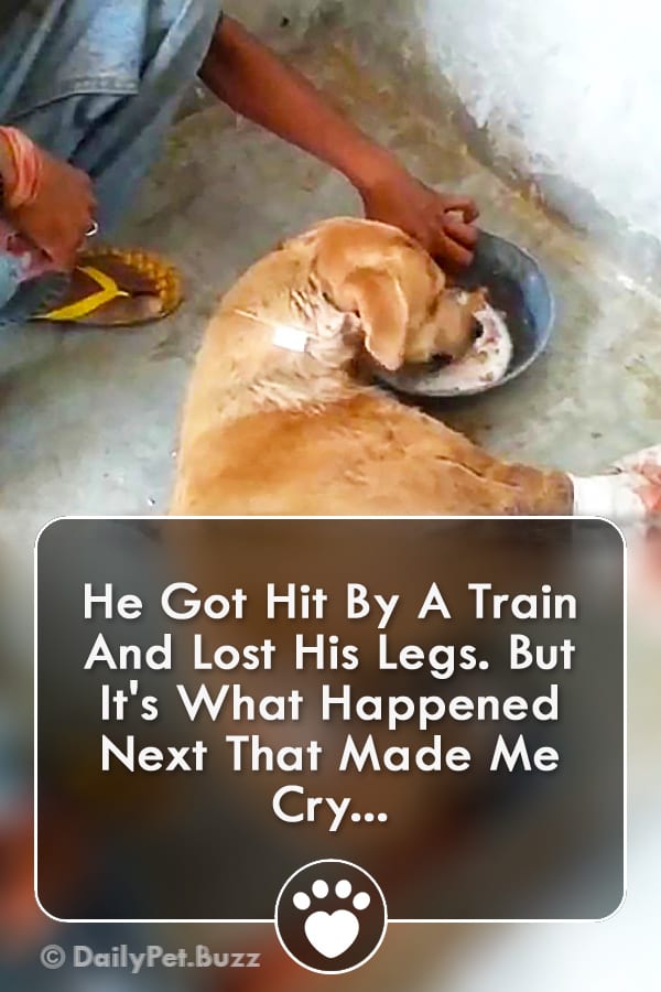 He Got Hit By A Train And Lost His Legs. But It\'s What Happened Next That Made Me Cry...