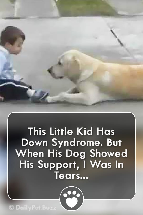 This Little Kid Has Down Syndrome. But When His Dog Showed His Support, I Was In Tears...