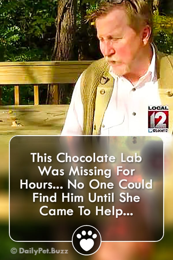 This Chocolate Lab Was Missing For Hours... No One Could Find Him Until She Came To Help...