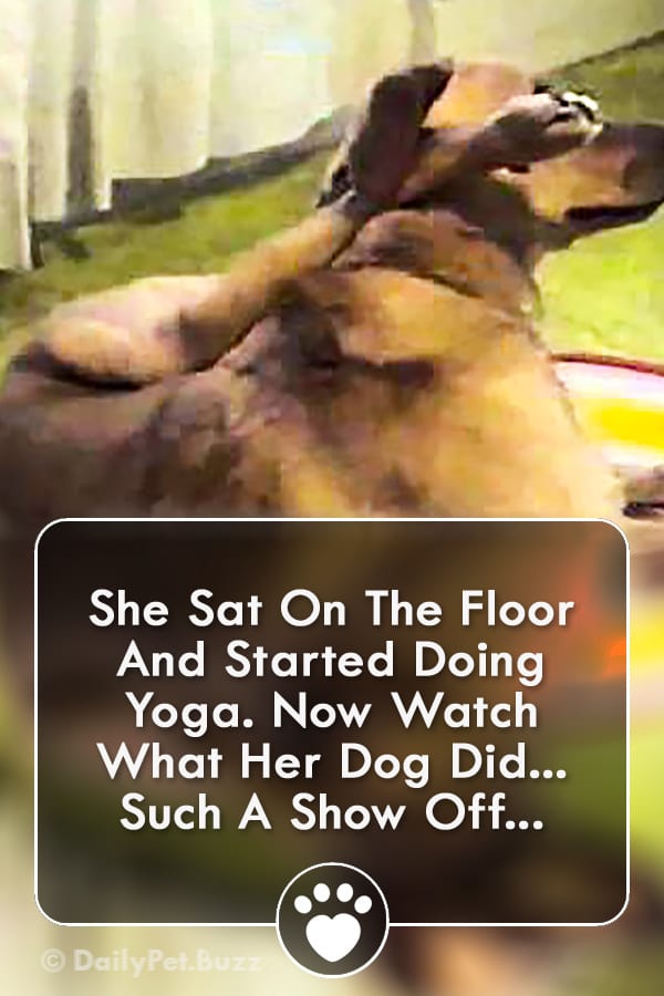 She Sat On The Floor And Started Doing Yoga. Now Watch What Her Dog Did... Such A Show Off...