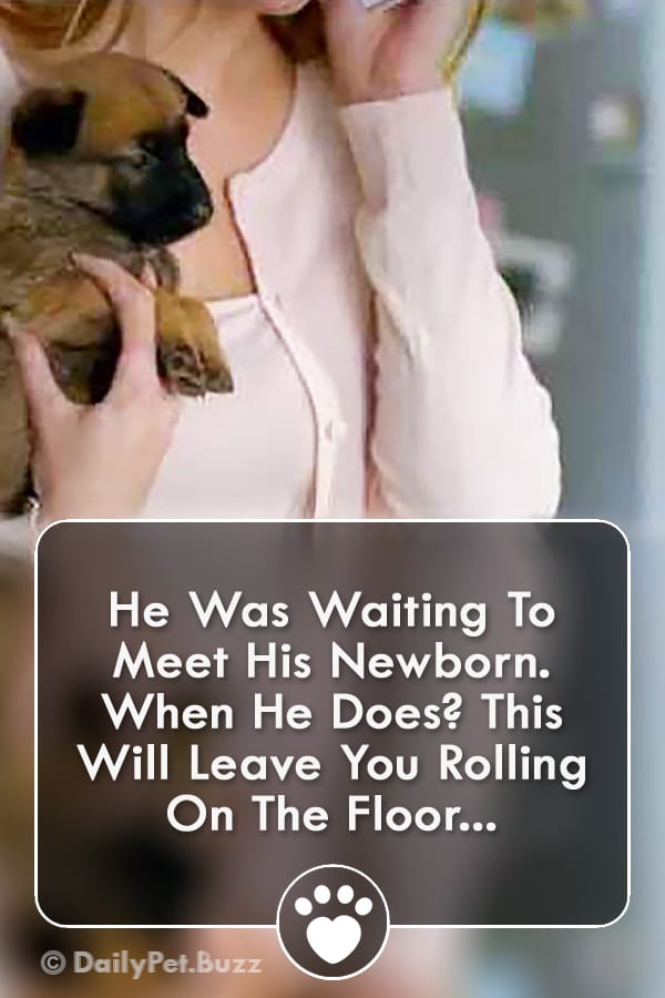 He Was Waiting To Meet His Newborn. When He Does? This Will Leave You Rolling On The Floor...