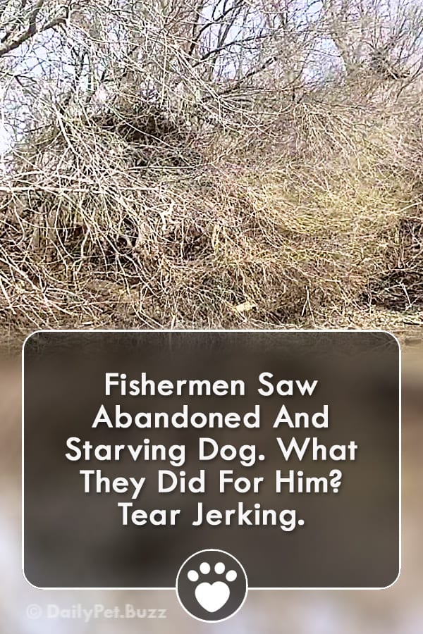 Fishermen Saw Abandoned And Starving Dog. What They Did For Him? Tear Jerking.