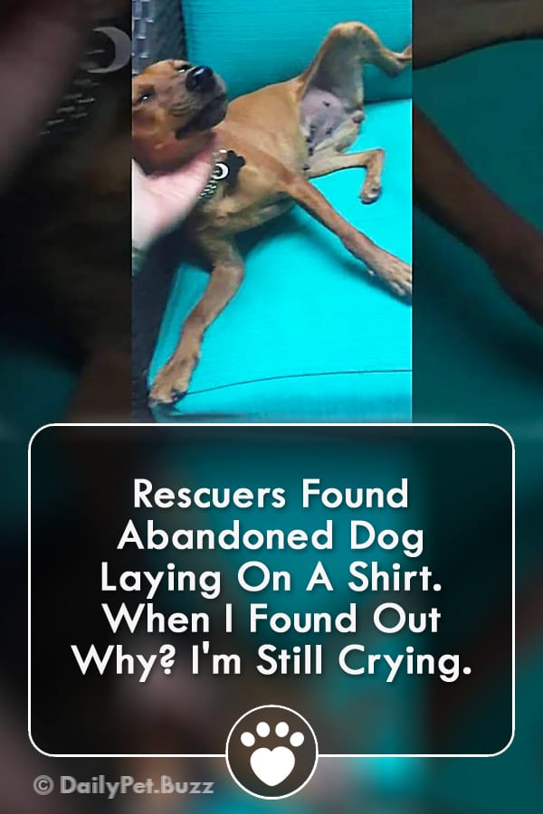 Rescuers Found Abandoned Dog Laying On A Shirt. When I Found Out Why? I\'m Still Crying.