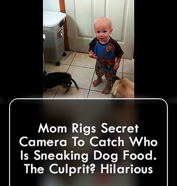 Pinterest Hidden Image