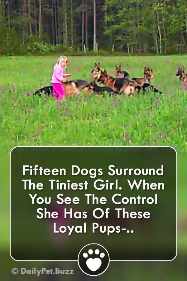 Fifteen Dogs Surround The Tiniest Girl. When You See The Control She Has Of These Loyal Pups-..