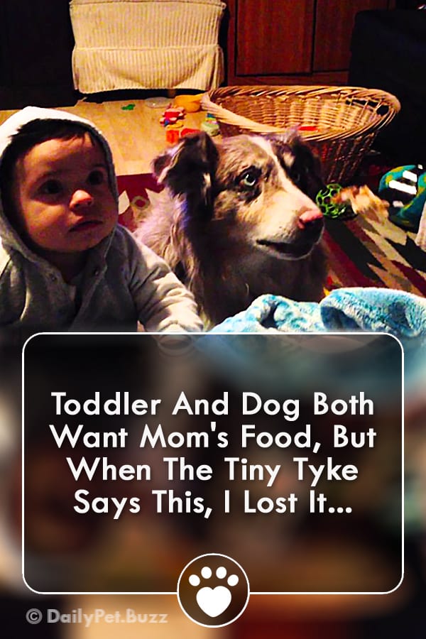 Toddler And Dog Both Want Mom\'s Food, But When The Tiny Tyke Says This, I Lost It...