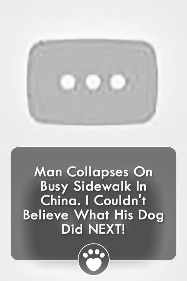 Man Collapses On Busy Sidewalk In China. I Couldn\'t Believe What His Dog Did NEXT!