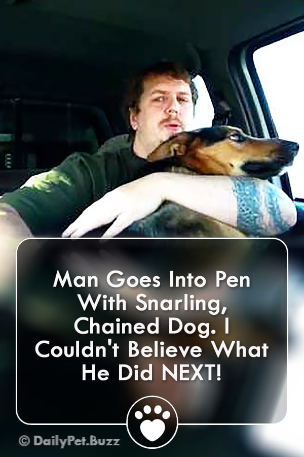Man Goes Into Pen With Snarling, Chained Dog. I Couldn\'t Believe What He Did NEXT!