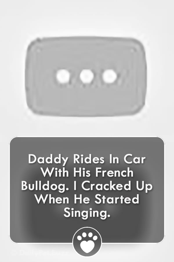 Daddy Rides In Car With His French Bulldog. I Cracked Up When He Started Singing.