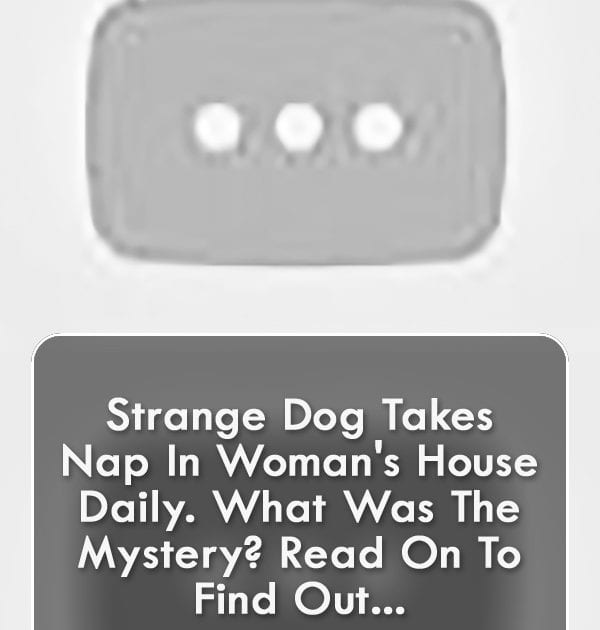Pinterest Hidden Image