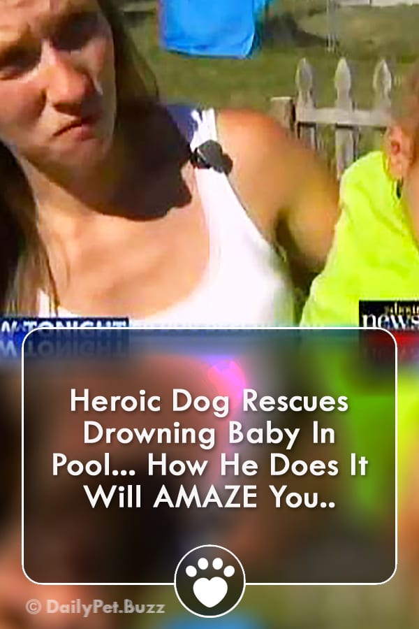 Heroic Dog Rescues Drowning Baby In Pool... How He Does It Will AMAZE You..