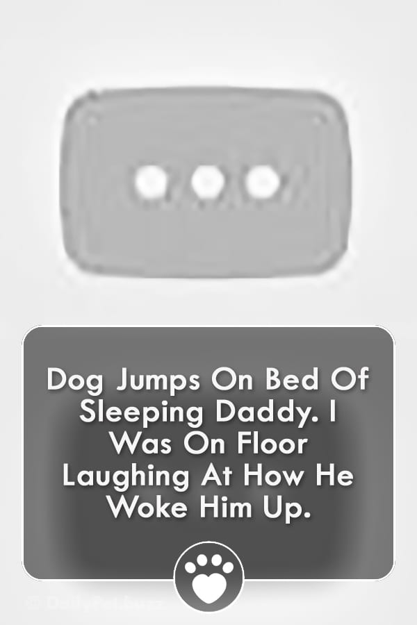 Dog Jumps On Bed Of Sleeping Daddy. I Was On Floor Laughing At How He Woke Him Up.