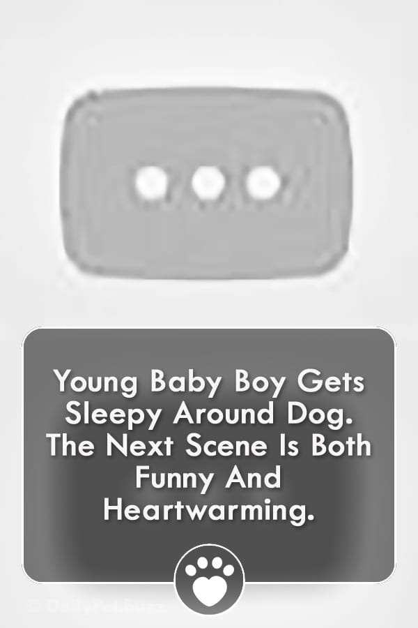 Young Baby Boy Gets Sleepy Around Dog. The Next Scene Is Both Funny And Heartwarming.