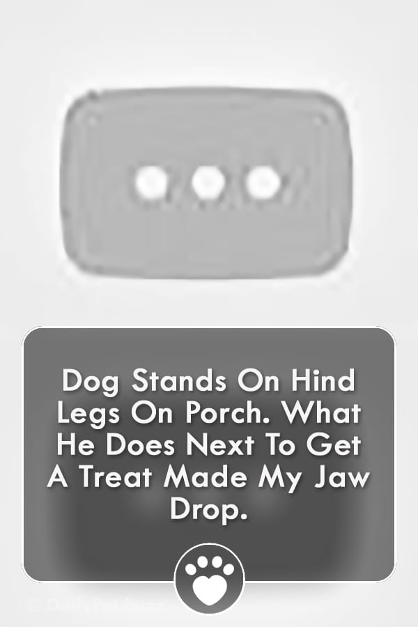 Dog Stands On Hind Legs On Porch. What He Does Next To Get A Treat Made My Jaw Drop.