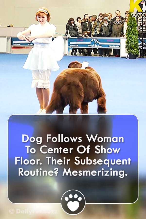 Dog Follows Woman To Center Of Show Floor. Their Subsequent Routine? Mesmerizing.