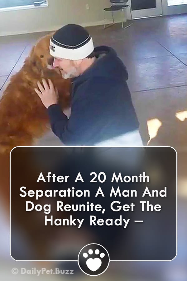 After A 20 Month Separation A Man And Dog Reunite, Get The Hanky Ready –