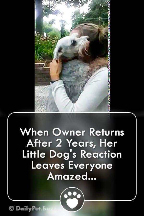 When Owner Returns After 2 Years, Her Little Dog\'s Reaction Leaves Everyone Amazed...