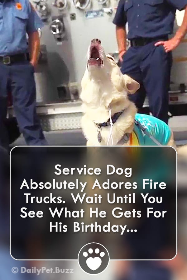 Service Dog Absolutely Adores Fire Trucks. Wait Until You See What He Gets For His Birthday...