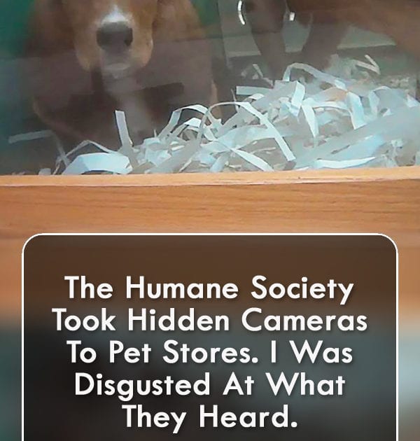 Pinterest Hidden Image