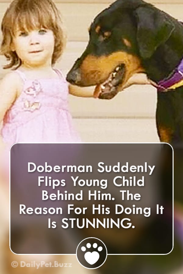 Doberman Suddenly Flips Young Child Behind Him. The Reason For His Doing It Is STUNNING.