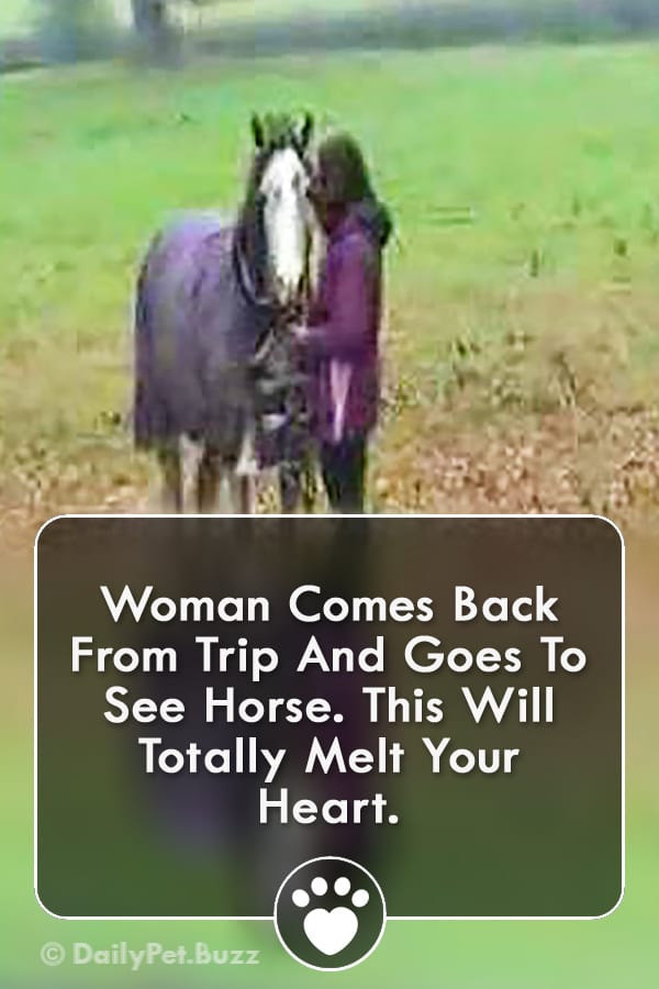 Woman Comes Back From Trip And Goes To See Horse. This Will Totally Melt Your Heart.