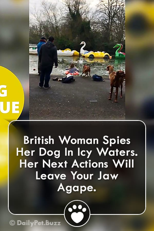 British Woman Spies Her Dog In Icy Waters. Her Next Actions Will Leave Your Jaw Agape.