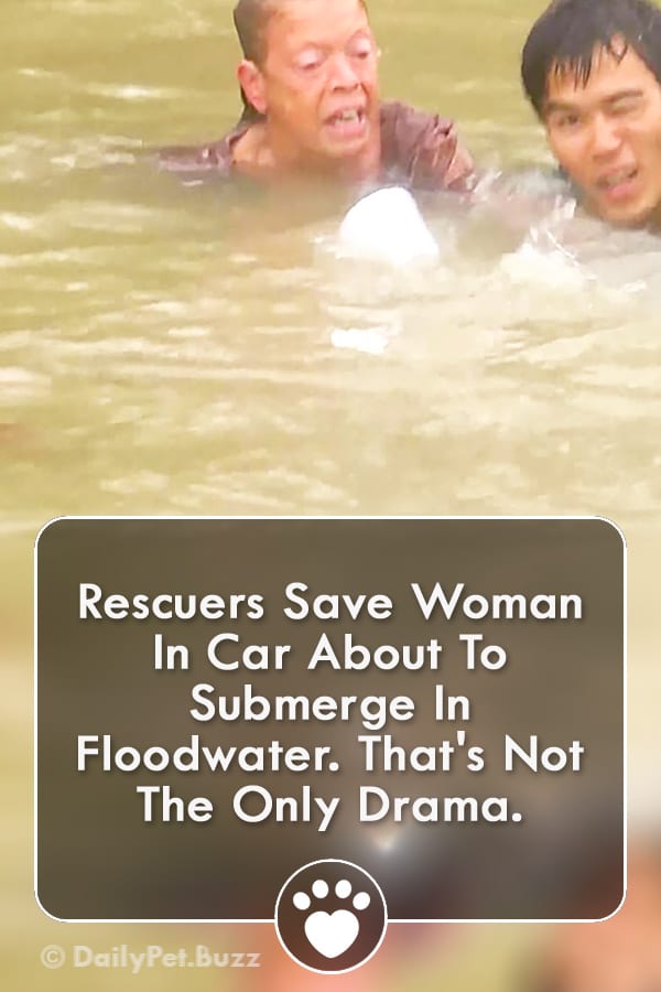 Rescuers Save Woman In Car About To Submerge In Floodwater. That\'s Not The Only Drama.