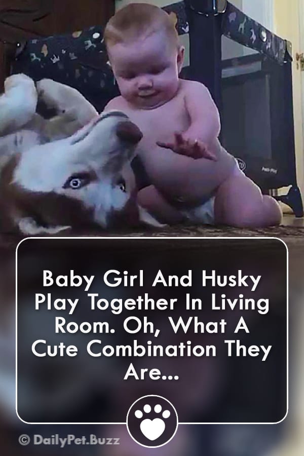 Baby Girl And Husky Play Together In Living Room. Oh, What A Cute Combination They Are...