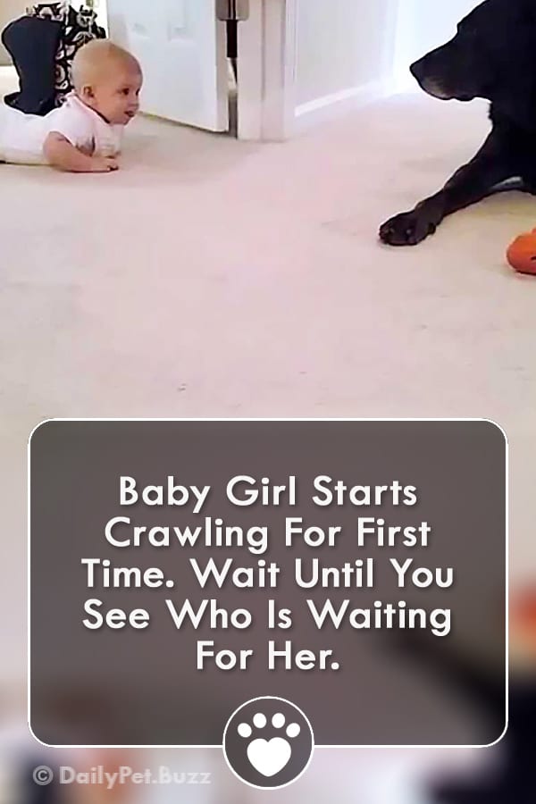 Baby Girl Starts Crawling For First Time. Wait Until You See Who Is Waiting For Her.
