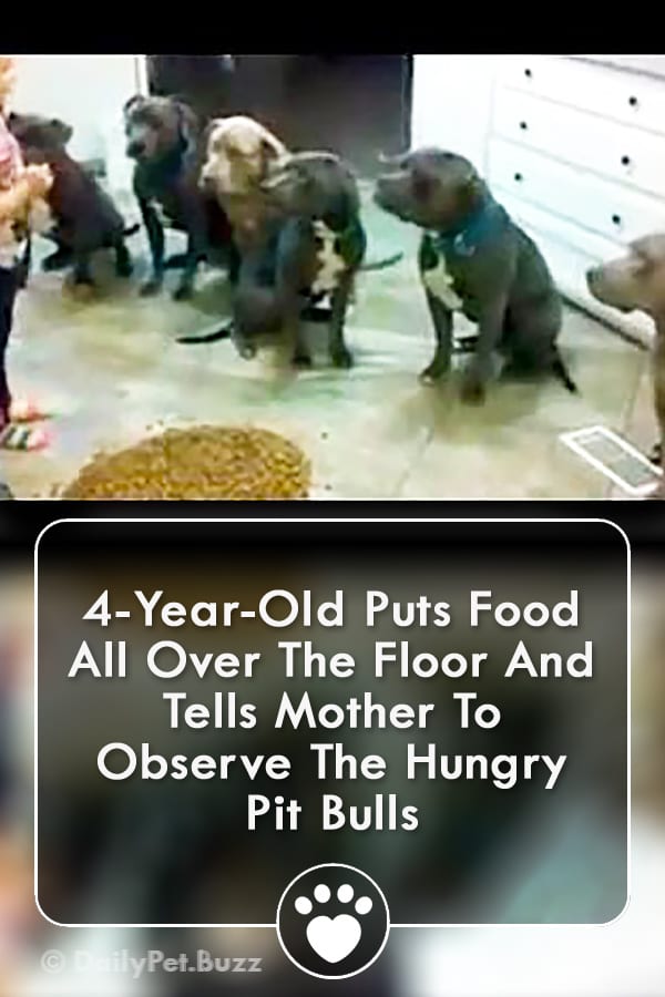 4-Year-Old Puts Food All Over The Floor And Tells Mother To Observe The Hungry Pit Bulls