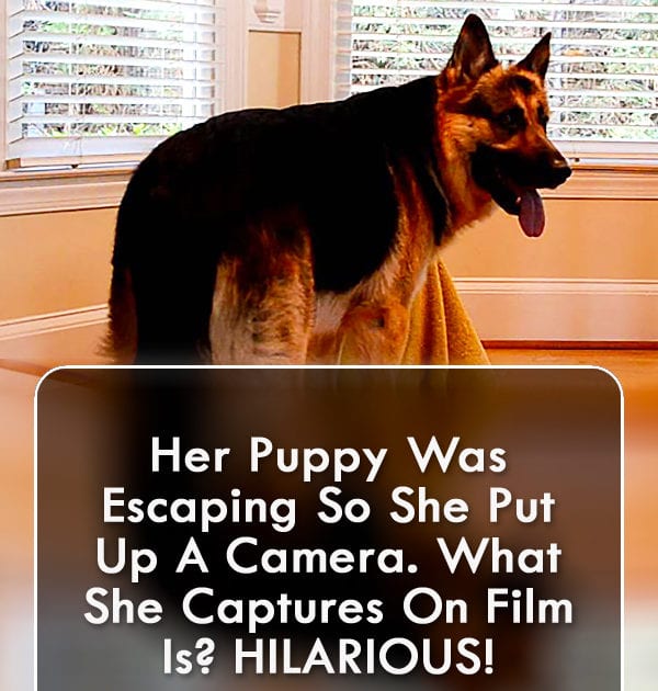 Pinterest Hidden Image
