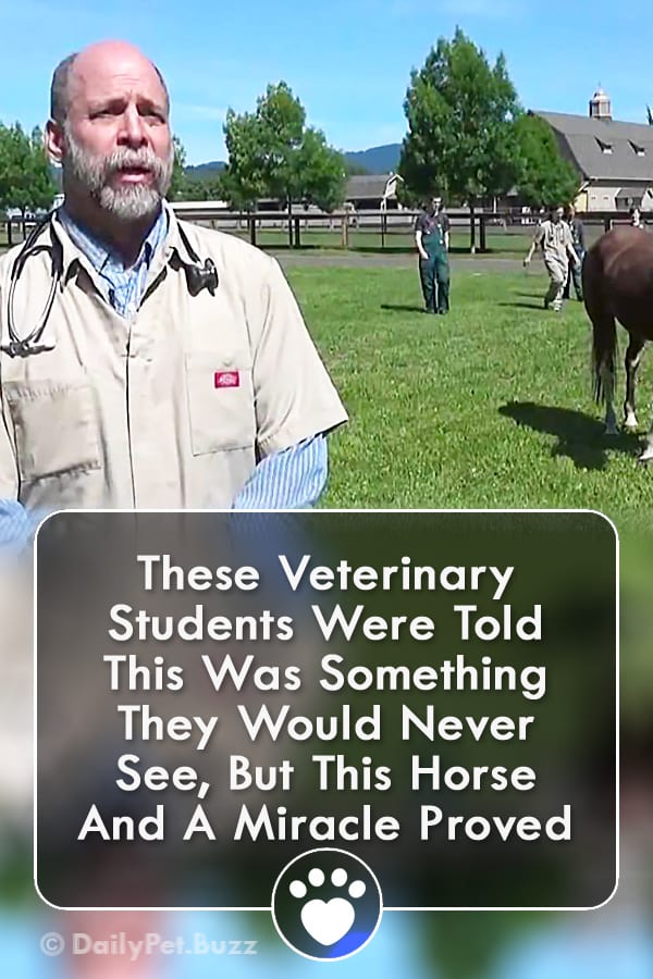 These Veterinary Students Were Told This Was Something They Would Never See, But This Horse And A Miracle Proved Them Wrong...