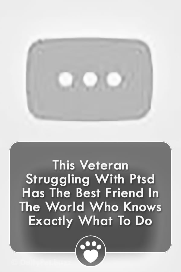 This Veteran Struggling With Ptsd Has The Best Friend In The World Who Knows Exactly What To Do