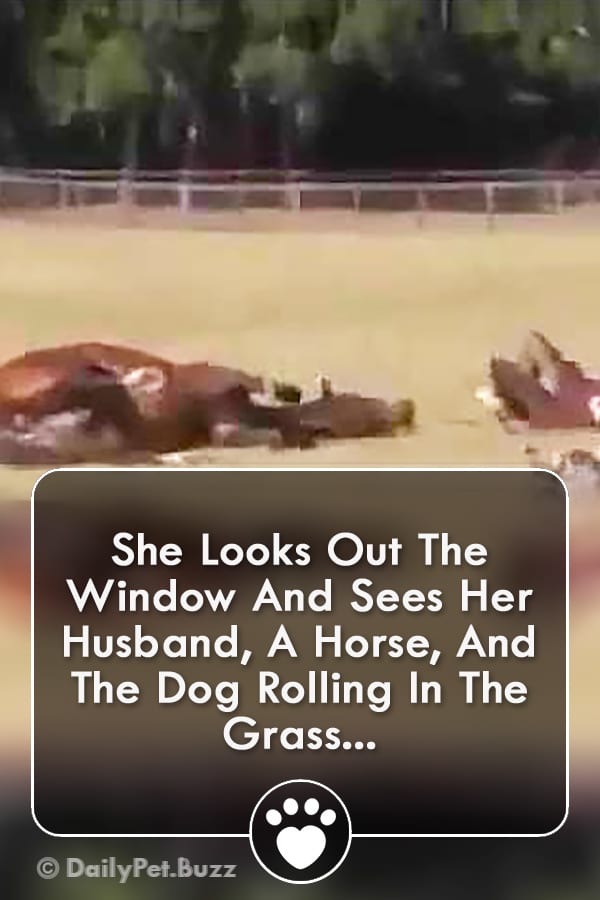 She Looks Out The Window And Sees Her Husband, A Horse, And The Dog Rolling In The Grass...