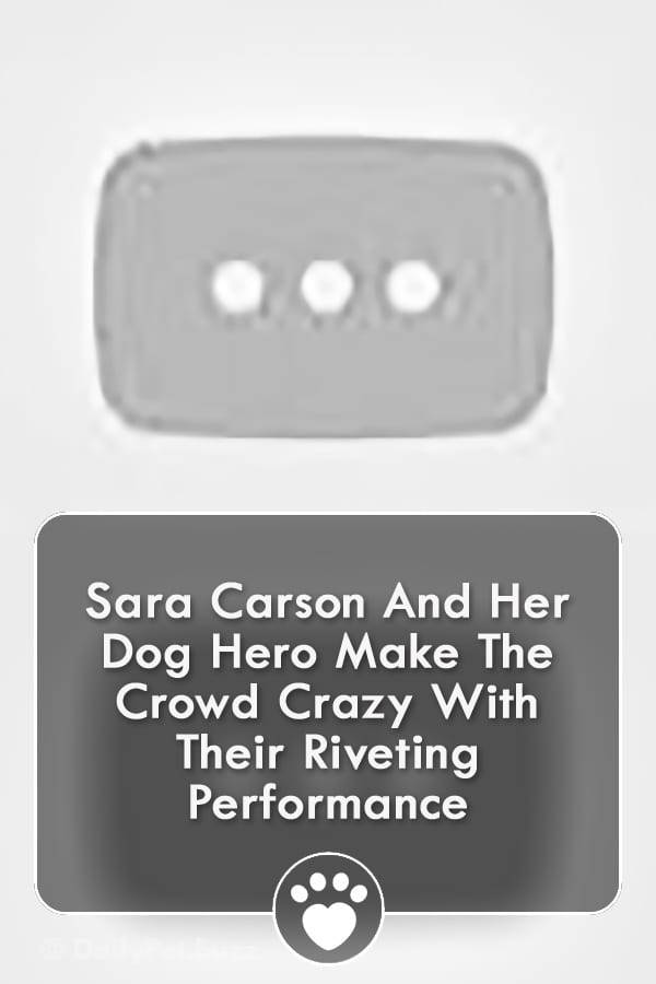 Sara Carson And Her Dog Hero Make The Crowd Crazy With Their Riveting Performance